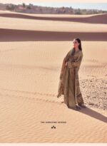 My Fashion Road Varsha Ekansh Fancy Digitally Printed Excusive Pashmina Suit | ES-06