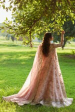 My Fashion Road Qalamkar Shadmani Formals | Bridal Collection 2025 | Sajal Ali | SH-08 My Fashion Road Qalamkar Shadmani Formals | Bridal Collection 2025 | Sajal Ali | SH-08