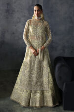 My Fashion Road Afrozeh Brides Wedding Unstitched Collection 2025 | Orazio