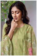 My Fashion Road Ganga Fashion Alitia Premium Exclusive Cotton Suit | S2828-C