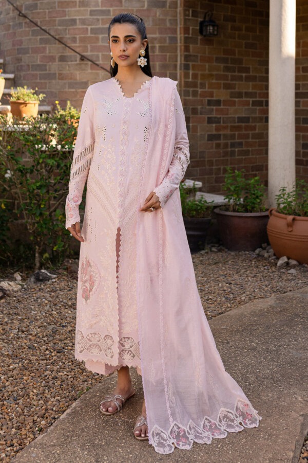 My Fashion Road Qalamkar Qline Unstitched Lawn Collection 2025 | QM-03