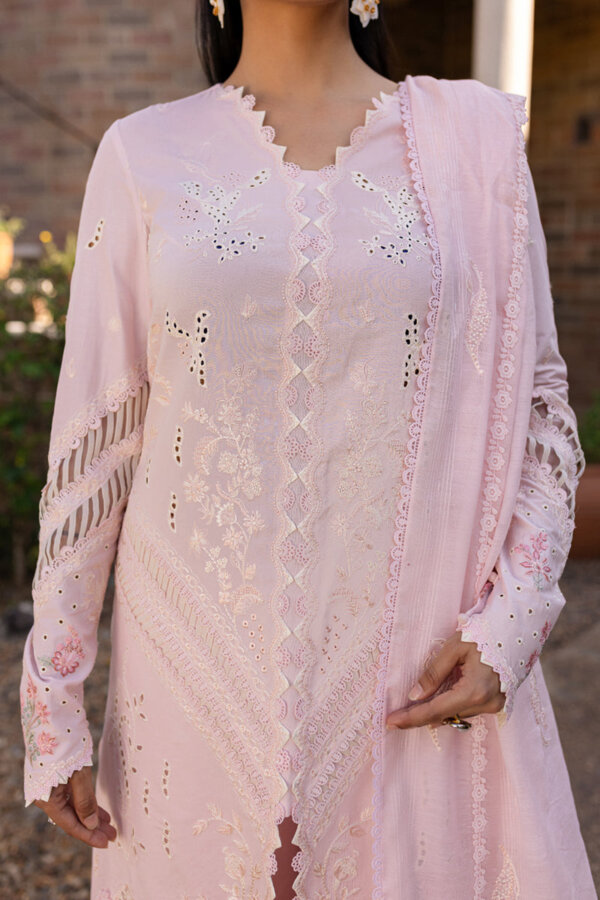 My Fashion Road Qalamkar Qline Unstitched Lawn Collection 2025 | QM-03