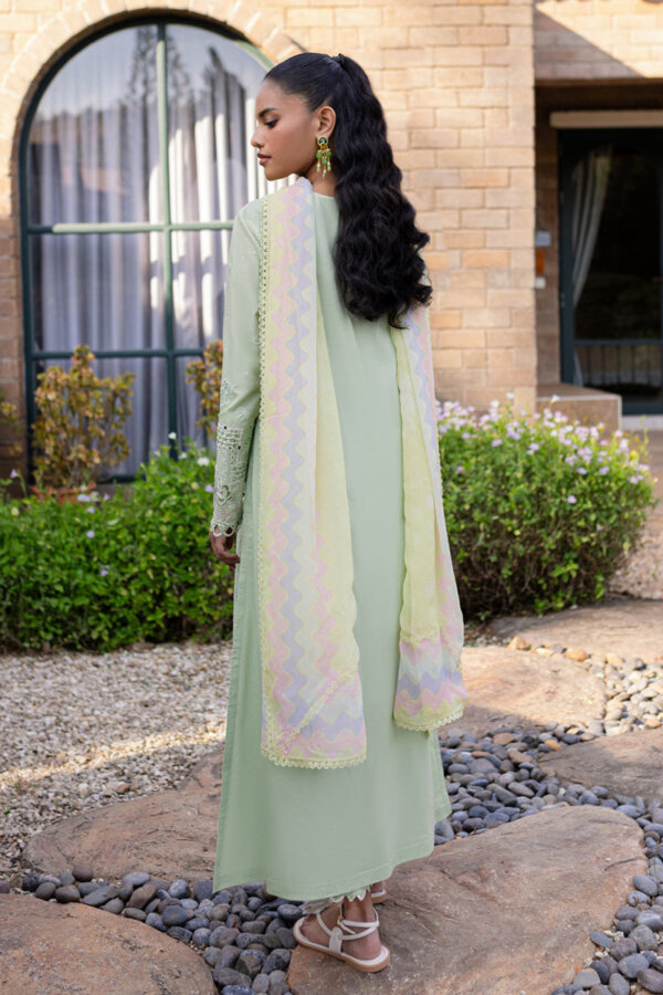 My Fashion Road Qalamkar Qline Unstitched Lawn Collection 2025 | QM-08