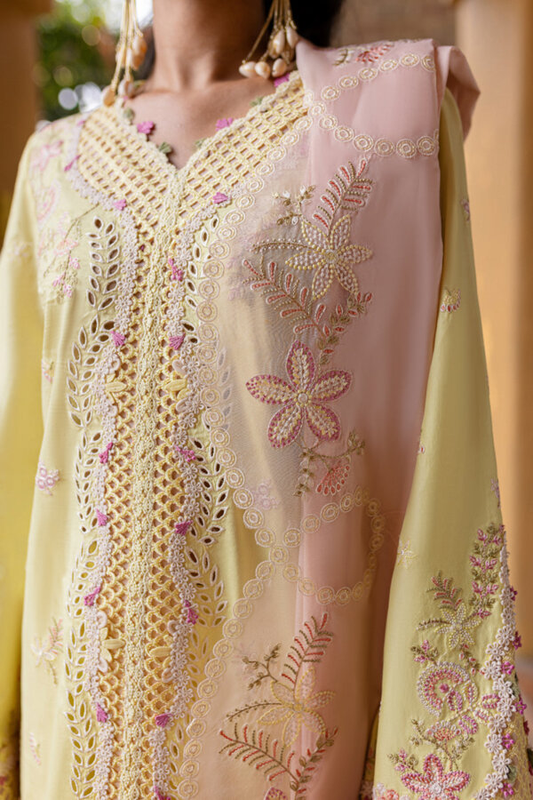 My Fashion Road Qalamkar Qline Unstitched Lawn Collection 2025 | QM-11