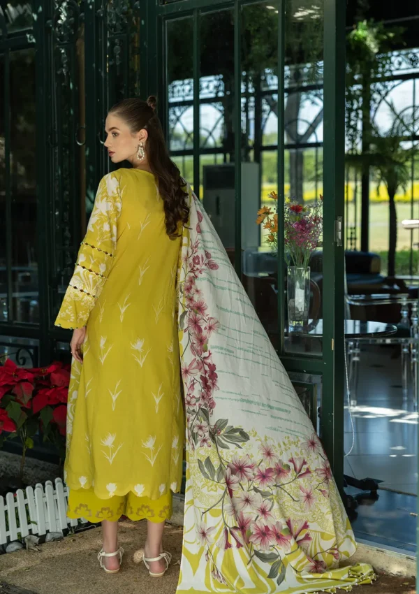 My Fashion Road Elaf Prints Latest Collection Lawn 2025 | EPE-08B