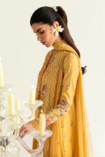My Fashion Road Qalamkar QPrints Unstitched Printed Lawn Collection 2025 | 03B My Fashion Road Qalamkar QPrints Unstitched Printed Lawn Collection 2025 | 03B