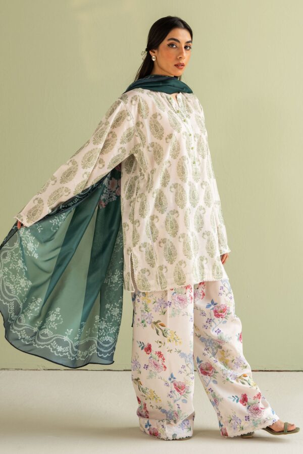 My Fashion Road Coco Prints by Zara Shahjahan Unstitched Collection 2025 | Paisley-6B