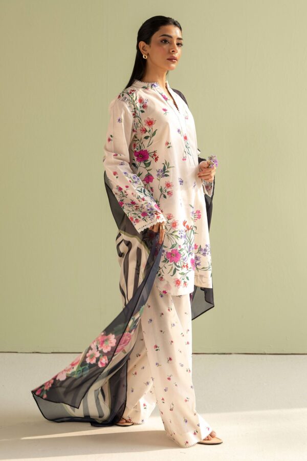 My Fashion Road Coco Prints by Zara Shahjahan Unstitched Collection 2025 | Reena-4B