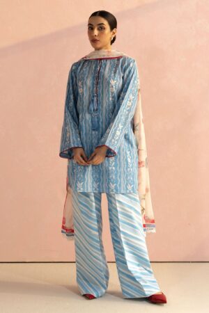 My Fashion Road Coco Prints by Zara Shahjahan Unstitched Collection 2025 | Ruby-9B