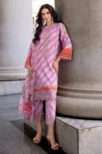 My Fashion Road Agaz-e-Nou 2025 Vol 01 by Charizma Collection 2025 | AG5-05 My Fashion Road Agaz-e-Nou 2025 Vol 01 by Charizma Collection 2025 | AG5-05