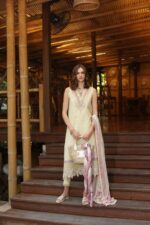 My Fashion Road Noor Luxe Printedkari by Saadia Aasad Lawn Collection 2025 | D9-A