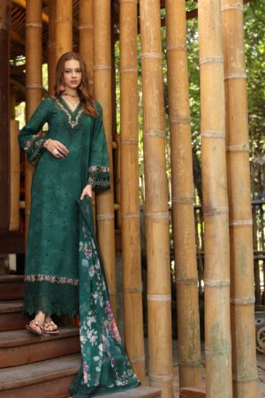 My Fashion Road Noor Luxe Printedkari by Saadia Aasad Lawn Collection 2025 | D9-B