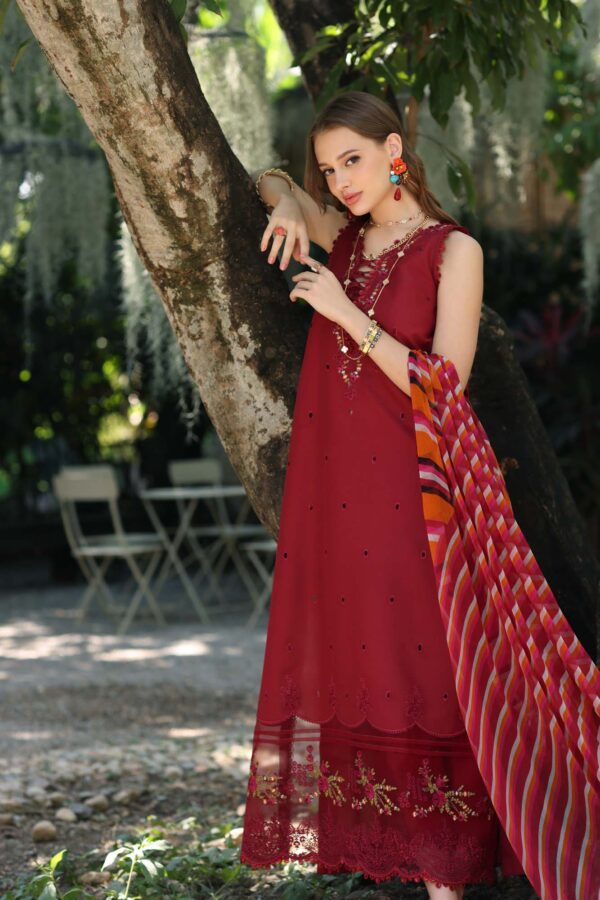 My Fashion Road Noor Luxe Printedkari by Saadia Aasad Lawn Collection 2025 | D3-B