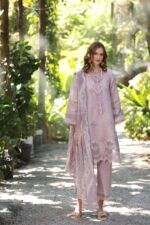 My Fashion Road Noor Luxe Printedkari by Saadia Aasad Lawn Collection 2025 | D6-B My Fashion Road Noor Luxe Printedkari by Saadia Aasad Lawn Collection 2025 | D6-B