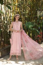 My Fashion Road Noor Luxe Printedkari by Saadia Aasad Lawn Collection 2025 | D5-A My Fashion Road Noor Luxe Printedkari by Saadia Aasad Lawn Collection 2025 | D5-A