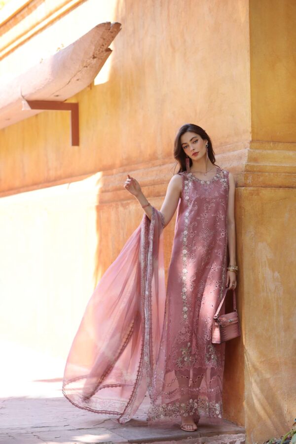 My Fashion Road Noor Luxury Laserkaari by Saadia Aasad Lawn Collection 2025 | D10-B