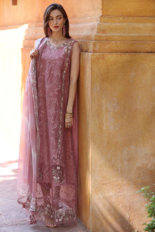 My Fashion Road Noor Luxury Laserkaari by Saadia Aasad Lawn Collection 2025 | D10-B