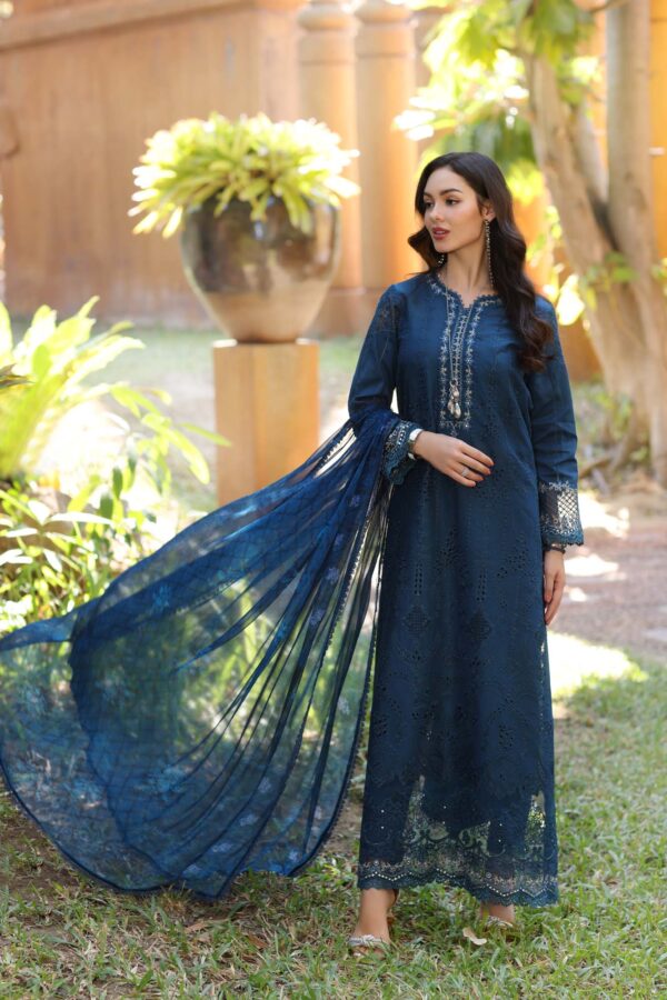 My Fashion Road Noor Luxury Laserkaari by Saadia Aasad Lawn Collection 2025 | D7-B