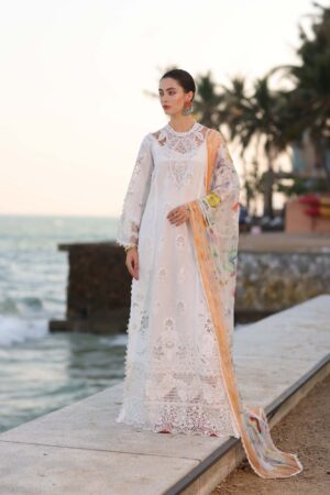 My Fashion Road Noor Luxury Laserkaari by Saadia Aasad Lawn Collection 2025 | D9-B