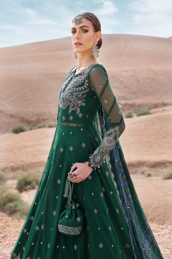 My Fashion Road MARIA B Luxury Unstitched Lawn Collection 2025 | D-2507-A (GZ-403)