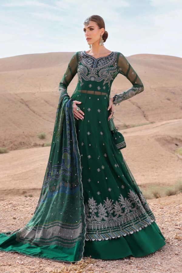 My Fashion Road MARIA B Luxury Unstitched Lawn Collection 2025 | D-2507-A (GZ-403)