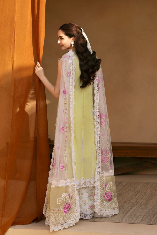 My Fashion Road Saira Rizwan Luxury Lawn Unstitched Collection 2025 | SRL25-5