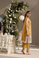 My Fashion Road Sobia Nazir Luxury Unstitched Lawn Collection 2025 | 6B My Fashion Road Sobia Nazir Luxury Unstitched Lawn Collection 2025 | 6B