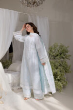 My Fashion Road Sobia Nazir Luxury Unstitched Lawn Collection 2025 | 7A