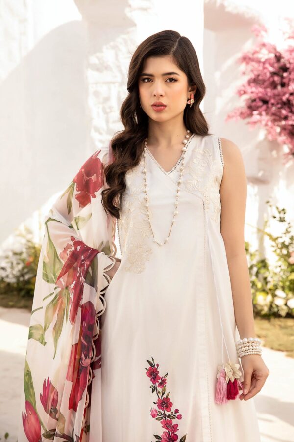 My Fashion Road MARIA B M Basics Unstitched Lawn Collection 2025 | MB-CUS25-701B