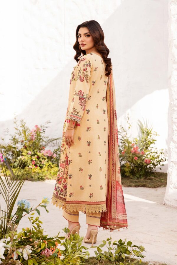 My Fashion Road MARIA B M Basics Unstitched Lawn Collection 2025 | MB-CUS25-705A