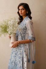 My Fashion Road Gul Ahmed Premium Luxury Lawn Unstitched Collection 2025 | LSV-52024