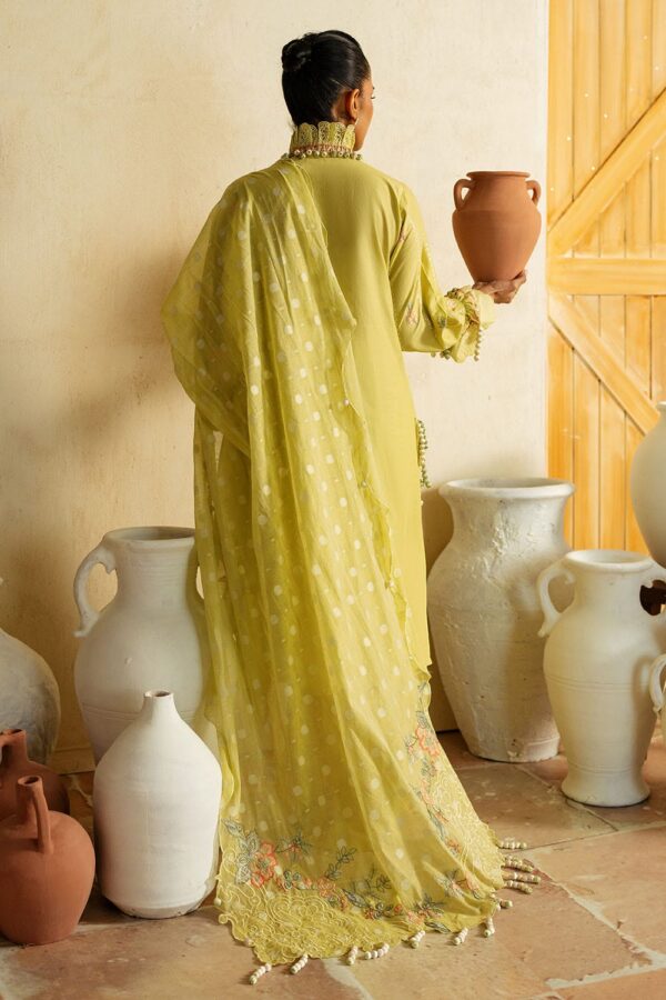 My Fashion Road Gul Ahmed Premium Luxury Lawn Unstitched Collection 2025 | PM-52010