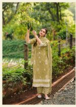 My Fashion Road Jay Vijay Parijat Fancy Wear Pure Cotton Latest Suit | 9684
