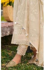 My Fashion Road Jay Vijay Shaam Designer Work Cotton Suit | 9694