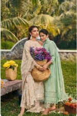My Fashion Road Jay Vijay Shaam Designer Work Cotton Suit | 9695