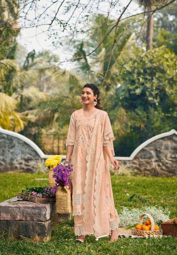 My Fashion Road Jay Vijay Shaam Designer Work Cotton Suit | 9691