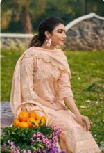 My Fashion Road Jay Vijay Shaam Designer Work Cotton Suit | 9691
