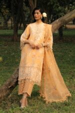 My Fashion Road Sana Safinaz Luxury Lawn Unstitched Collection 2025 | L251-008B-3CT