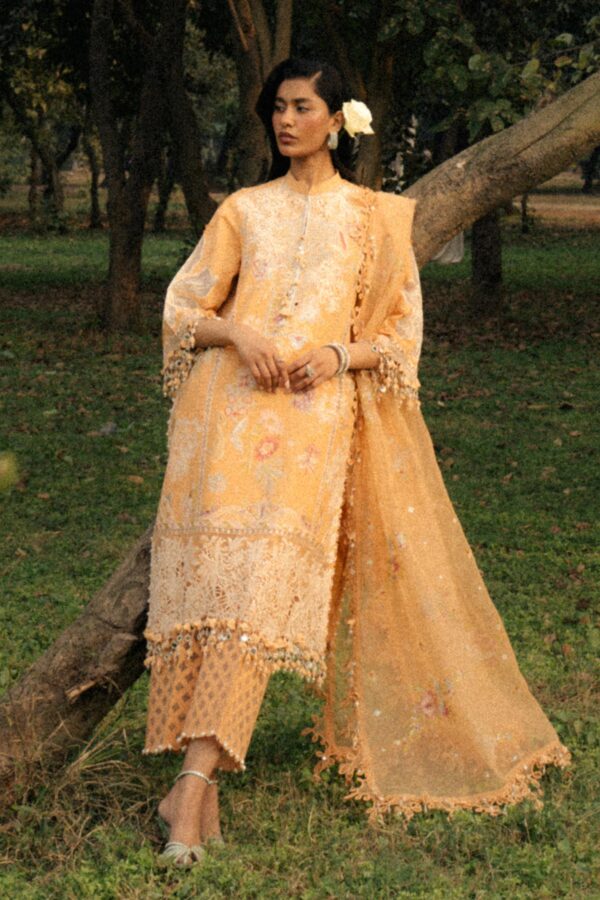 My Fashion Road Sana Safinaz Luxury Lawn Unstitched Collection 2025 | L251-008B-3CT