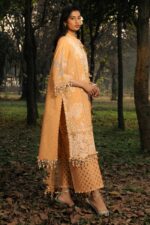 My Fashion Road Sana Safinaz Luxury Lawn Unstitched Collection 2025 | L251-008B-3CT