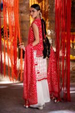 My Fashion Road Gul Ahmed Chunri Lawn Unstitched Collection 2025 | CL-42316 A My Fashion Road Gul Ahmed Chunri Lawn Unstitched Collection 2025 | CL-42316 A