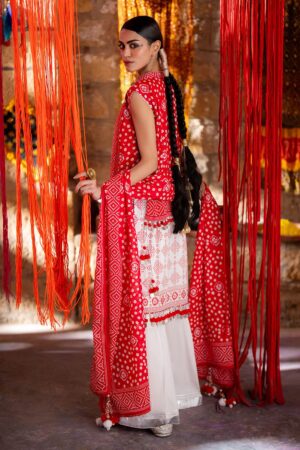 My Fashion Road Gul Ahmed Chunri Lawn Unstitched Collection 2025 | CL-42316 A