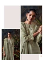 My Fashion Road Ganga Fashion Memento Fancy Cotton Premium Designer Suit | C2243 My Fashion Road Ganga Fashion Memento Fancy Cotton Premium Designer Suit | C2243
