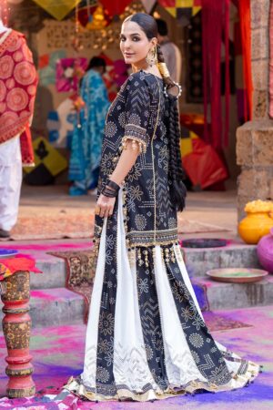 My Fashion Road Gul Ahmed Chunri Lawn Unstitched Collection 2025 | TL-52034