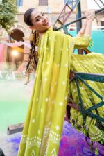 My Fashion Road Gul Ahmed Chunri Lawn Unstitched Collection 2025 |  CL-52185 B