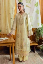 My Fashion Road Qlinekari Lawn by Qalamkar Unstitched Collection 2025 | DC-04