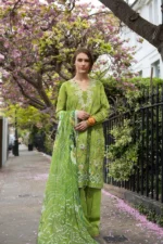 My Fashion Road Sobia Nazir Basics Unstitched Lawn Collection 2025 | 3A