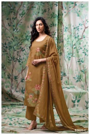 My Fashion Road Ganga Fashion Ayra Exclusive Fancy Ganga Fashion Suit | S3620 – C