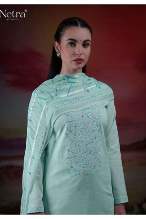 My Fashion Road Netra Tiya Digital Printed Fancy Linen Suit | NE-C 1068 B