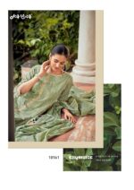 My Fashion Road Jay Vijay Roshnika Exclusive Fancy Cotton Suit | 10161
